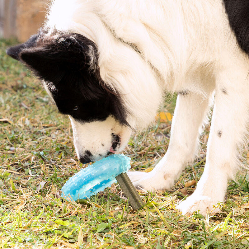 Brinquedo Mordedor Congelável para Animais de Estimação 2 em 1 Glubiz InnovaGoods®