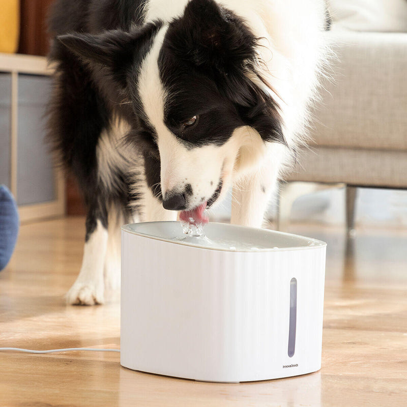 Fonte para Animais de Estimação Drinkatt InnovaGoods®