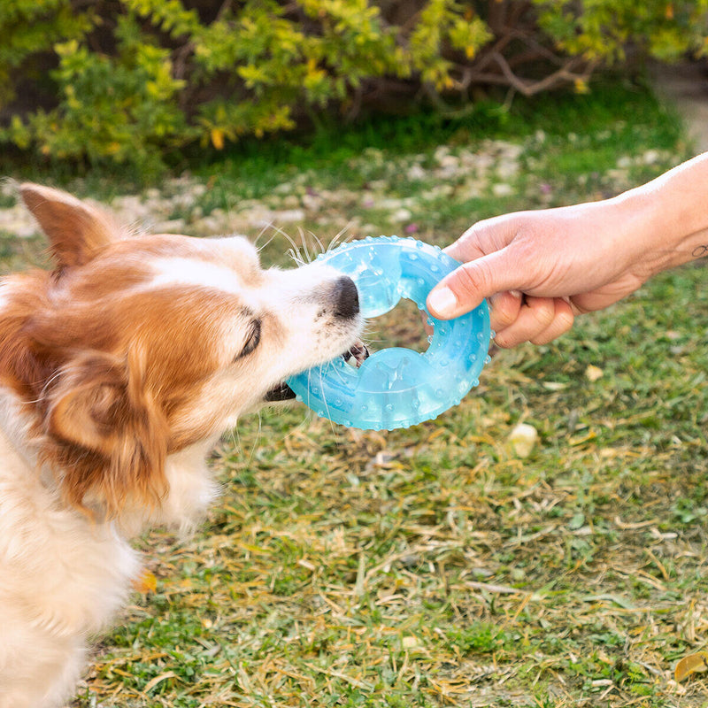 Brinquedo Mordedor Congelável para Animais de Estimação 2 em 1 Glubiz InnovaGoods®