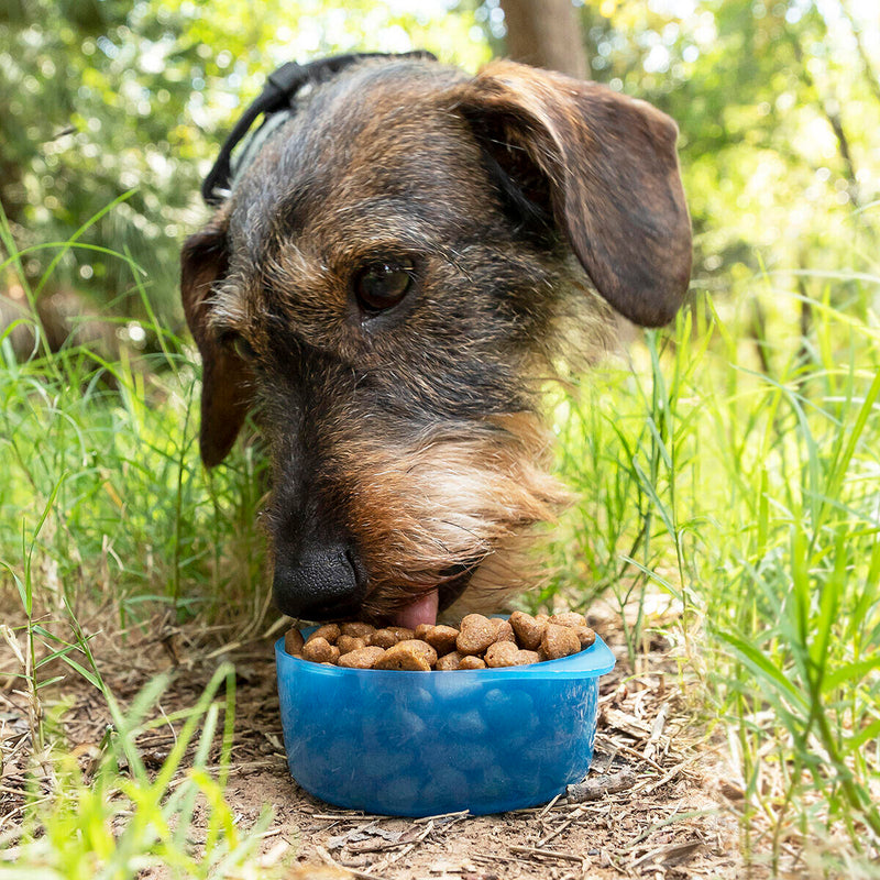 Garrafa 2 em 1 para Água e Comida de Animais Pettap InnovaGoods®
