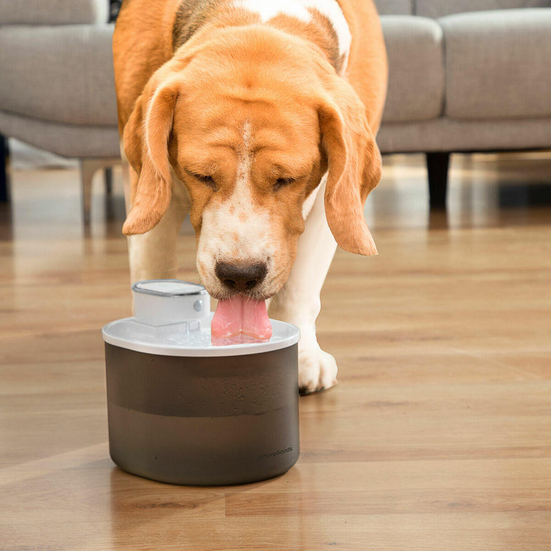 Fonte para Gatos Recarregável com Sensor Refopet InnovaGoods®