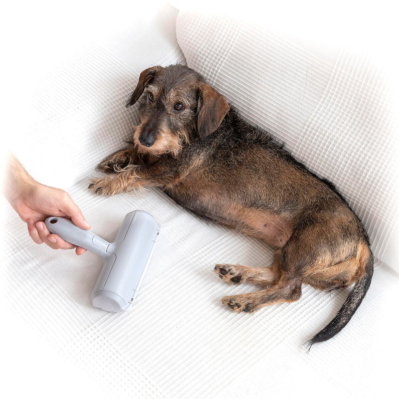 Rolo Removedor de Pelos de Animais de Estimação Rellair InnovaGoods®