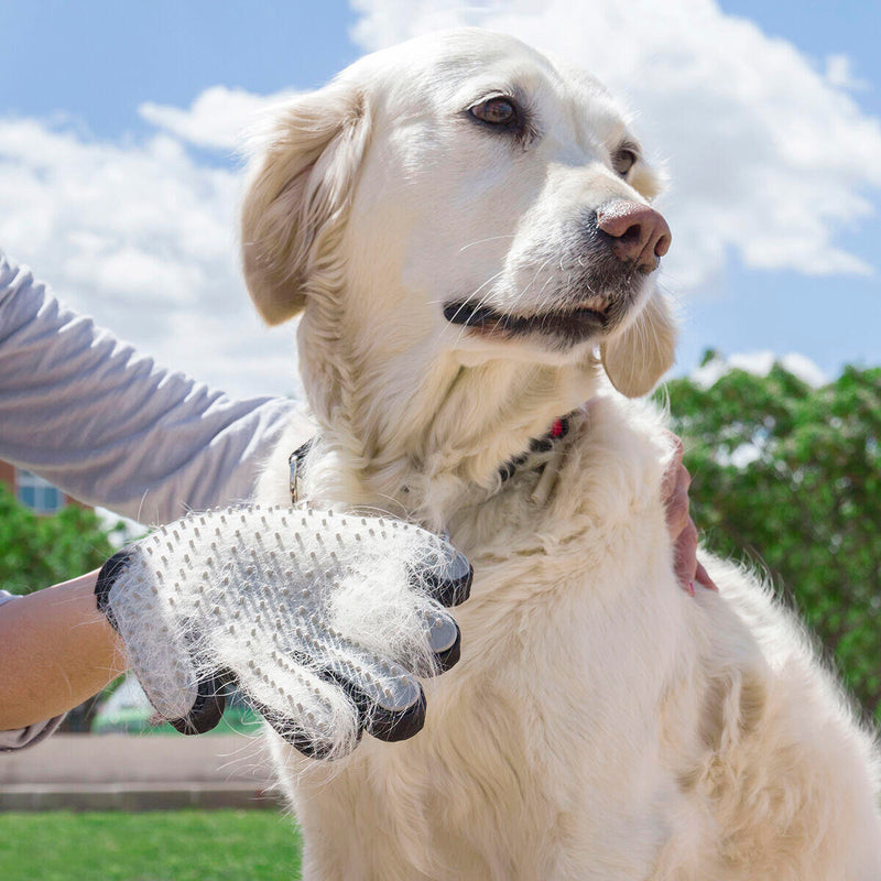 Luva para Escovar e Massagear Animais de Estimação Relpet InnovaGoods®