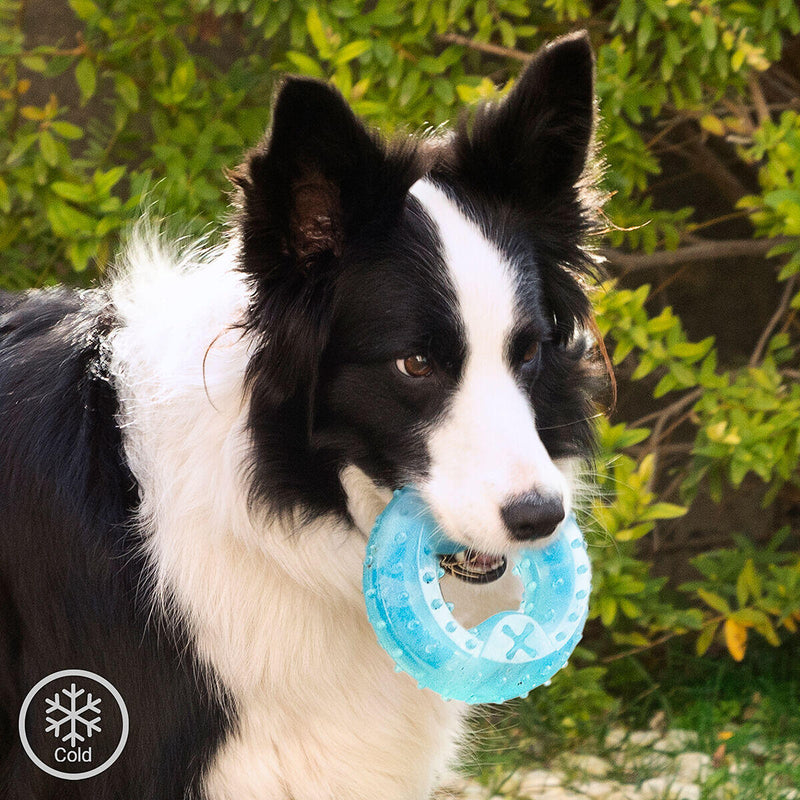 Brinquedo Mordedor Congelável para Animais de Estimação 2 em 1 Glubiz InnovaGoods®