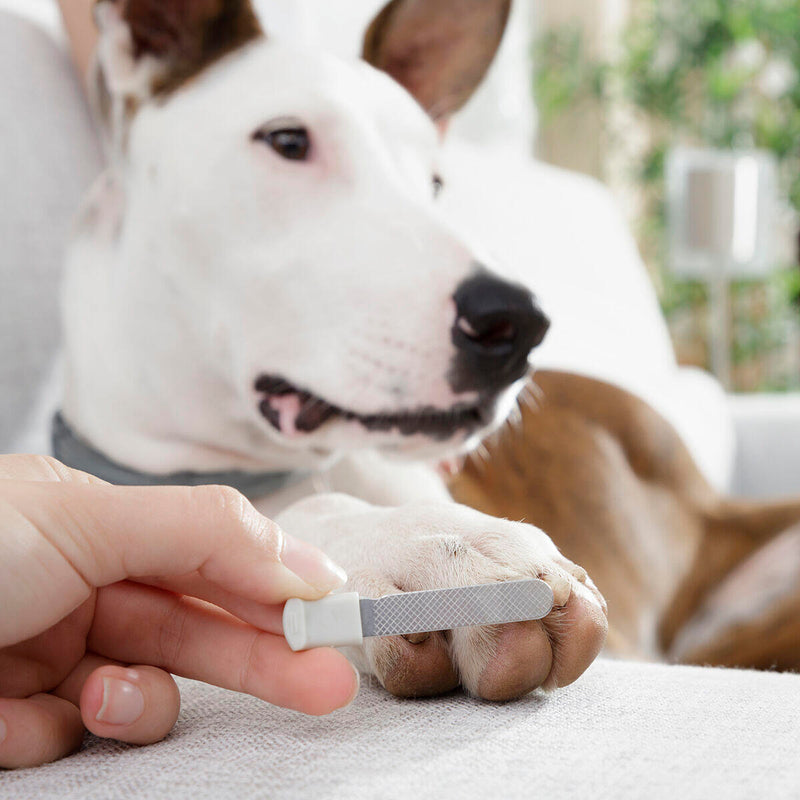 Cortador de Unhas com LED para Animais de Estimação Clipet InnovaGoods®