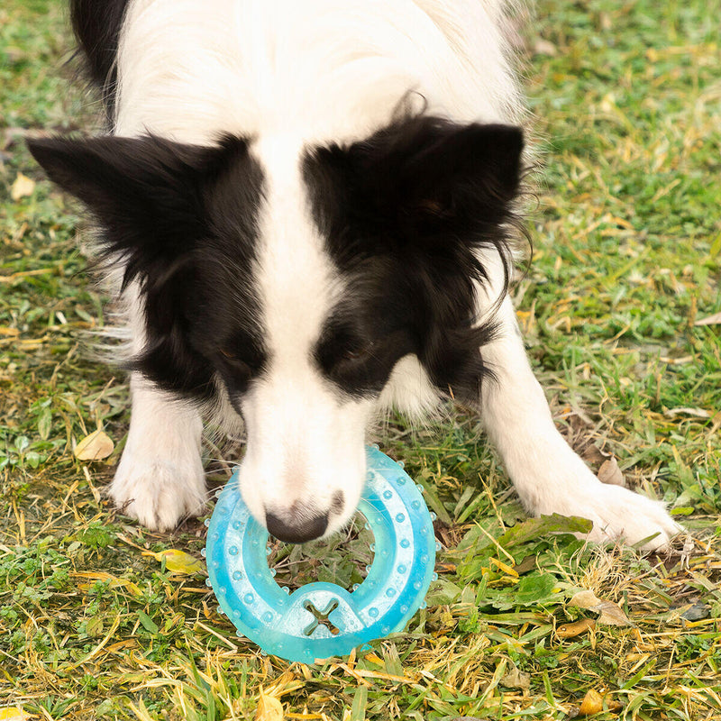 Brinquedo Mordedor Congelável para Animais de Estimação 2 em 1 Glubiz InnovaGoods®