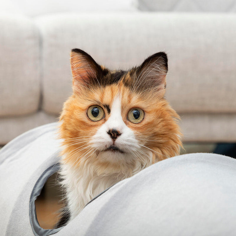 Túnel Dobrável para Animais de Estimação FunnyI InnovaGoods®